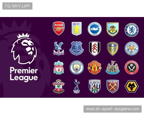 英冠升入英超的球队名单及新晋球队的生存挑战 英冠升入英超的球队名单及新晋球队的生存挑战