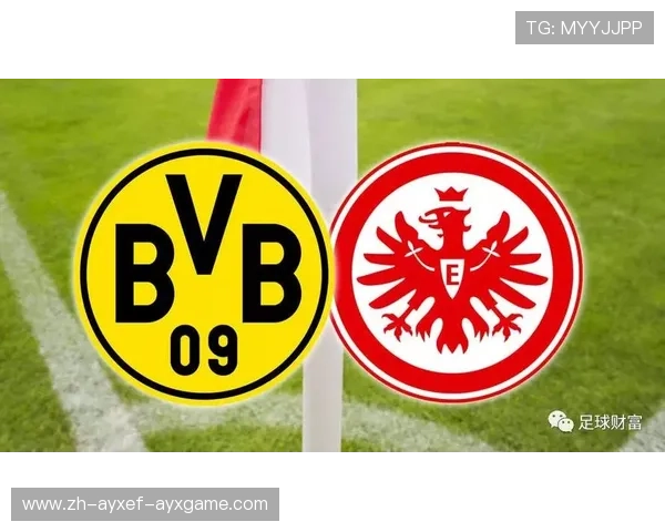 德甲球队资金投入与背后金主揭秘