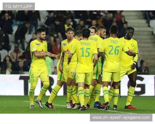 法甲外援技术风格多样性及其战术适配性